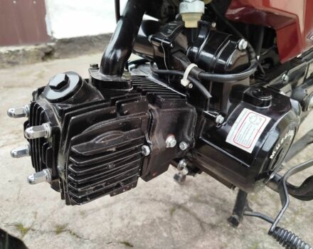 Мустанг Інша, об'ємом двигуна 0.11 л та пробігом 0 тис. км за 437 $, фото 12 на Automoto.ua