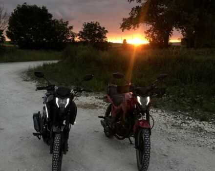 Мустанг Інша, об'ємом двигуна 0.2 л та пробігом 0 тис. км за 594 $, фото 2 на Automoto.ua