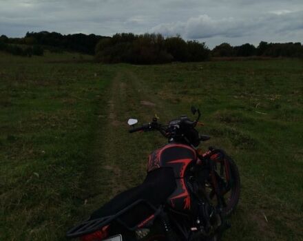 Мустанг Інша, об'ємом двигуна 0.15 л та пробігом 0 тис. км за 785 $, фото 3 на Automoto.ua