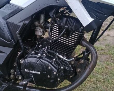 Мустанг Другая, объемом двигателя 0.2 л и пробегом 0 тыс. км за 781 $, фото 4 на Automoto.ua