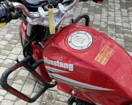 Мустанг Другая, объемом двигателя 0.15 л и пробегом 0 тыс. км за 828 $, фото 3 на Automoto.ua