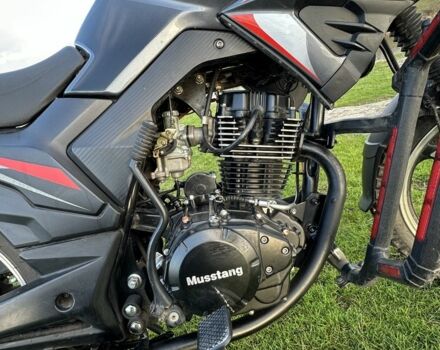 Мустанг Другая, объемом двигателя 0.2 л и пробегом 0 тыс. км за 714 $, фото 1 на Automoto.ua