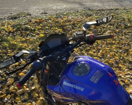 Мустанг Інша, об'ємом двигуна 0.2 л та пробігом 0 тис. км за 716 $, фото 3 на Automoto.ua