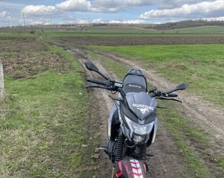 Мустанг Інша, об'ємом двигуна 0.2 л та пробігом 0 тис. км за 835 $, фото 5 на Automoto.ua