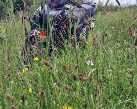 Мустанг Другая, объемом двигателя 0.2 л и пробегом 0 тыс. км за 950 $, фото 2 на Automoto.ua