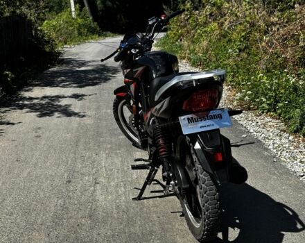 Мустанг Другая, объемом двигателя 0.15 л и пробегом 0 тыс. км за 899 $, фото 3 на Automoto.ua