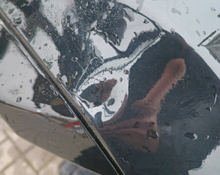 Мустанг Інша, об'ємом двигуна 0.23 л та пробігом 0 тис. км за 950 $, фото 12 на Automoto.ua