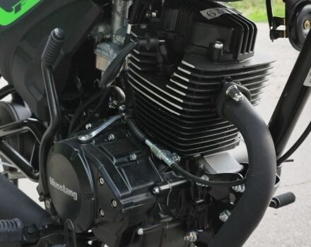 Мустанг Другая, объемом двигателя 0.15 л и пробегом 0 тыс. км за 950 $, фото 13 на Automoto.ua