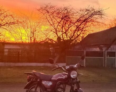 Мустанг Інша, об'ємом двигуна 0.13 л та пробігом 0 тис. км за 592 $, фото 4 на Automoto.ua