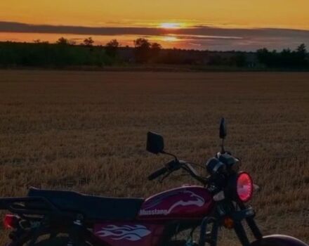 Мустанг Інша, об'ємом двигуна 0.13 л та пробігом 0 тис. км за 592 $, фото 1 на Automoto.ua