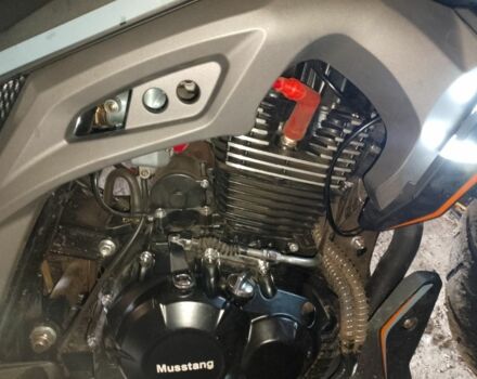 Мустанг Другая, объемом двигателя 0.2 л и пробегом 0 тыс. км за 960 $, фото 5 на Automoto.ua