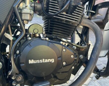 Мустанг Другая, объемом двигателя 0.2 л и пробегом 0 тыс. км за 900 $, фото 1 на Automoto.ua