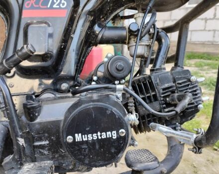 Мустанг Другая, объемом двигателя 0.13 л и пробегом 0 тыс. км за 597 $, фото 5 на Automoto.ua