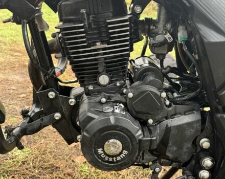 Мустанг Інша, об'ємом двигуна 0.2 л та пробігом 0 тис. км за 837 $, фото 4 на Automoto.ua