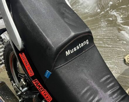 Мустанг Другая, объемом двигателя 0.2 л и пробегом 0 тыс. км за 595 $, фото 4 на Automoto.ua