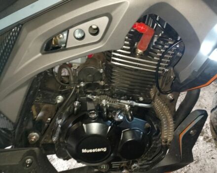 Мустанг Другая, объемом двигателя 0.2 л и пробегом 0 тыс. км за 960 $, фото 6 на Automoto.ua