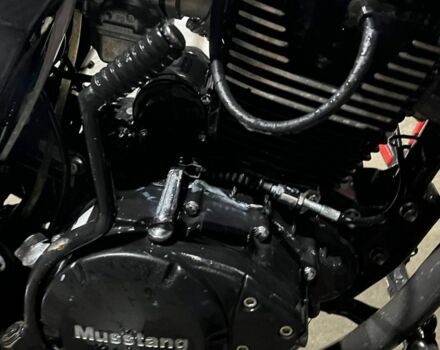 Мустанг Другая, объемом двигателя 0.2 л и пробегом 0 тыс. км за 595 $, фото 3 на Automoto.ua