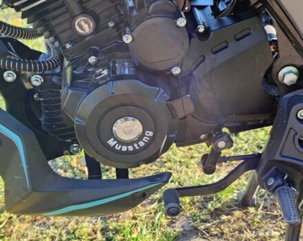 Мустанг Другая 2025 в Бердичеве на Automoto.ua Мустанг Другая, объемом двигателя 0.2 л и пробегом 0 тыс. км за 1199 $, фото 2 на Automoto.ua