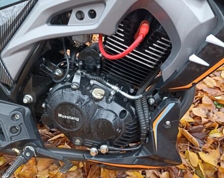 Мустанг Другая, объемом двигателя 0.2 л и пробегом 0 тыс. км за 1000 $, фото 10 на Automoto.ua