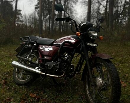 Мустанг Другая, объемом двигателя 0.11 л и пробегом 0 тыс. км за 405 $, фото 4 на Automoto.ua