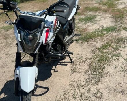 Мустанг Другая, объемом двигателя 0.2 л и пробегом 0 тыс. км за 982 $, фото 1 на Automoto.ua