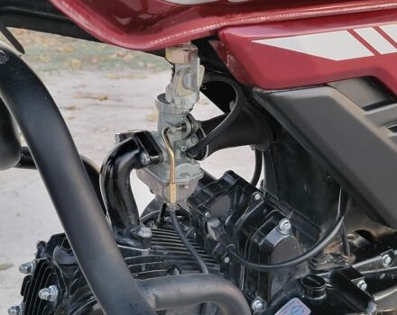 Мустанг Інша, об'ємом двигуна 0.13 л та пробігом 0 тис. км за 728 $, фото 3 на Automoto.ua