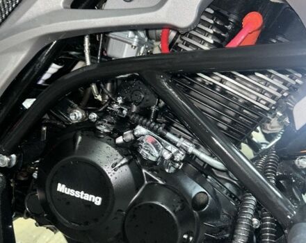 Мустанг Другая 2025 в Ровно на Automoto.ua Мустанг Другая, объемом двигателя 0.2 л и пробегом 0 тыс. км за 1142 $, фото 4 на Automoto.ua