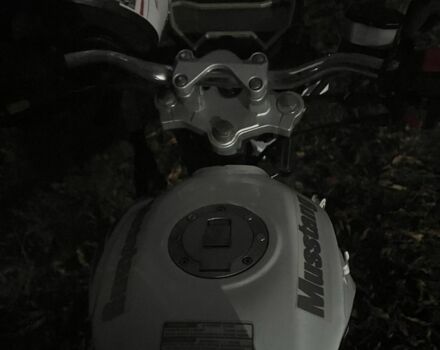 Мустанг Другая, объемом двигателя 0.2 л и пробегом 0 тыс. км за 1191 $, фото 1 на Automoto.ua