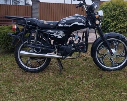 Мустанг Інша, об'ємом двигуна 0.11 л та пробігом 0 тис. км за 379 $, фото 3 на Automoto.ua