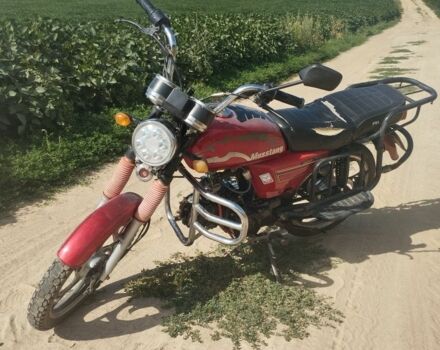 Мустанг Інша, об'ємом двигуна 0.11 л та пробігом 0 тис. км за 237 $, фото 3 на Automoto.ua