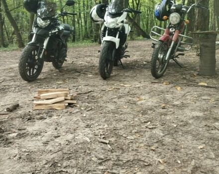 Мустанг Інша, об'ємом двигуна 0.11 л та пробігом 0 тис. км за 236 $, фото 2 на Automoto.ua