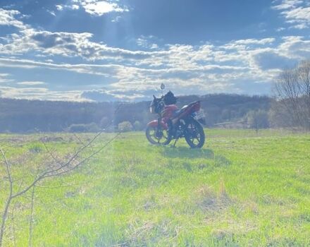 Мустанг Другая, объемом двигателя 0.15 л и пробегом 0 тыс. км за 357 $, фото 5 на Automoto.ua