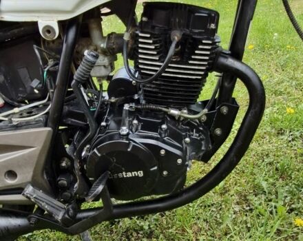 Мустанг Інша, об'ємом двигуна 0.2 л та пробігом 0 тис. км за 900 $, фото 19 на Automoto.ua