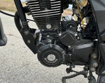 Мустанг Інша, об'ємом двигуна 0.2 л та пробігом 0 тис. км за 800 $, фото 2 на Automoto.ua