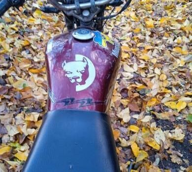 Мустанг Інша, об'ємом двигуна 0.13 л та пробігом 0 тис. км за 403 $, фото 2 на Automoto.ua