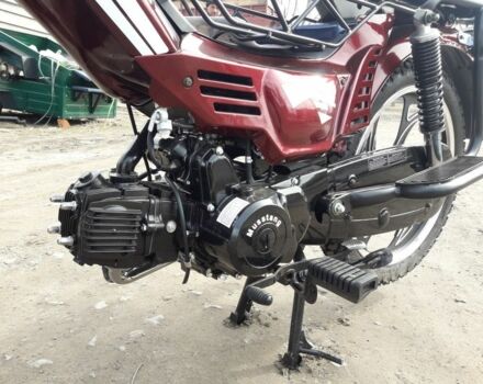 Мустанг Інша, об'ємом двигуна 0.11 л та пробігом 0 тис. км за 645 $, фото 5 на Automoto.ua