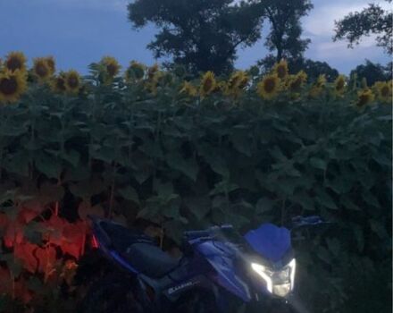 Мустанг Другая, объемом двигателя 0.2 л и пробегом 0 тыс. км за 786 $, фото 7 на Automoto.ua