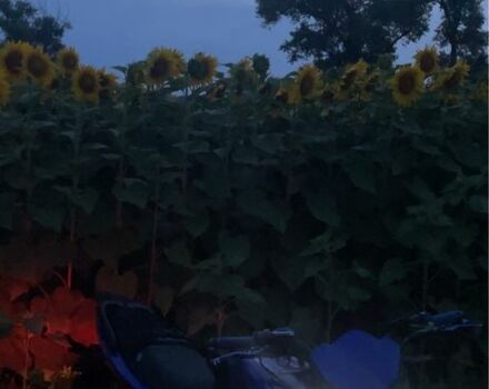 Мустанг Другая, объемом двигателя 0.2 л и пробегом 0 тыс. км за 786 $, фото 5 на Automoto.ua