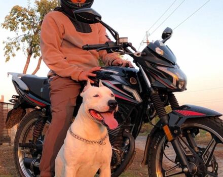 Мустанг Інша, об'ємом двигуна 0.15 л та пробігом 0 тис. км за 594 $, фото 2 на Automoto.ua