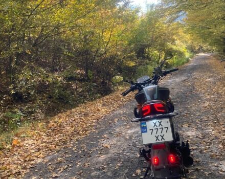 Мустанг Другая, объемом двигателя 0.2 л и пробегом 0 тыс. км за 1080 $, фото 5 на Automoto.ua