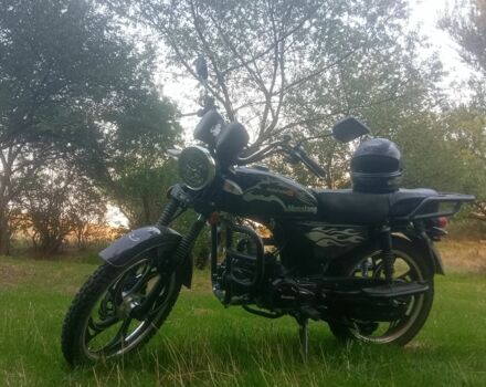 Мустанг Другая, объемом двигателя 0.13 л и пробегом 0 тыс. км за 947 $, фото 2 на Automoto.ua