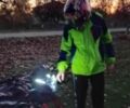 Мустанг Другая, объемом двигателя 0.12 л и пробегом 0 тыс. км за 27500 $, фото 1 на Automoto.ua