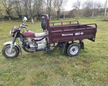 Мустанг Другая 2017 в Ромнах на Automoto.ua Мустанг Другая, объемом двигателя 0.25 л и пробегом 0 тыс. км за 832 $, фото 3 на Automoto.ua