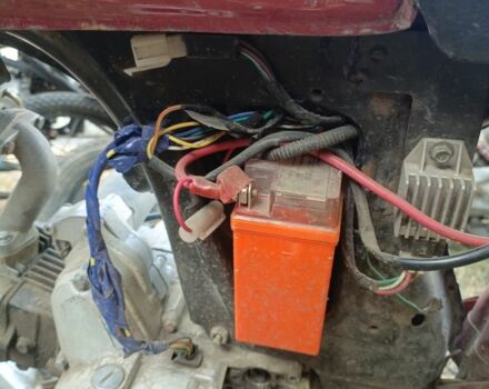 Мустанг Інша, об'ємом двигуна 72 л та пробігом 0 тис. км за 243 $, фото 2 на Automoto.ua