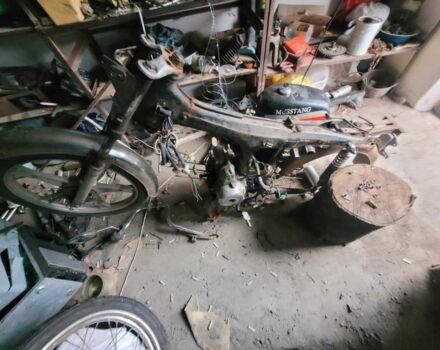 Мустанг Другая, объемом двигателя 0.11 л и пробегом 0 тыс. км за 76 $, фото 3 на Automoto.ua