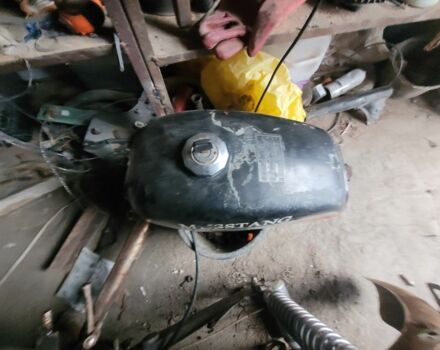 Мустанг Другая, объемом двигателя 0.11 л и пробегом 0 тыс. км за 76 $, фото 4 на Automoto.ua