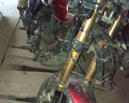 Мустанг Інша, об'ємом двигуна 0.25 л та пробігом 0 тис. км за 290 $, фото 2 на Automoto.ua