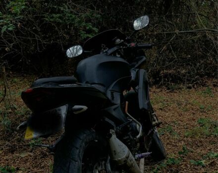 Мустанг Інша, об'ємом двигуна 0.2 л та пробігом 0 тис. км за 634 $, фото 3 на Automoto.ua