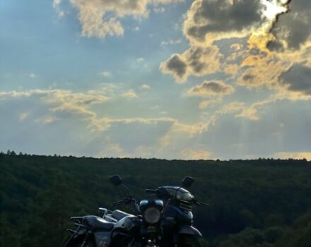 Мустанг Другая, объемом двигателя 0.13 л и пробегом 0 тыс. км за 418 $, фото 4 на Automoto.ua