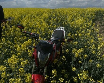 Мустанг Інша, об'ємом двигуна 0.2 л та пробігом 0 тис. км за 750 $, фото 1 на Automoto.ua